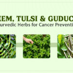 Neem, Tulsi & Guduchi: Ayurvedic Herbs for Cancer Prevention