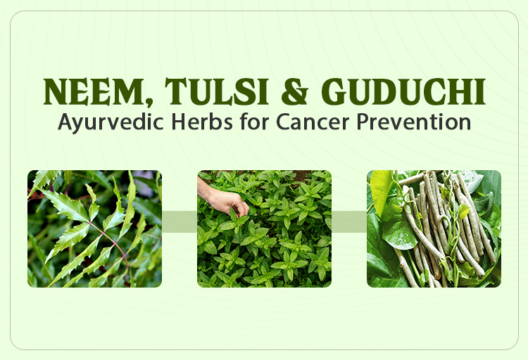 Neem, Tulsi & Guduchi: Ayurvedic Herbs for Cancer Prevention