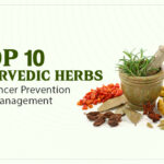 Top 10 Ayurvedic Herbs for Cancer Prevention