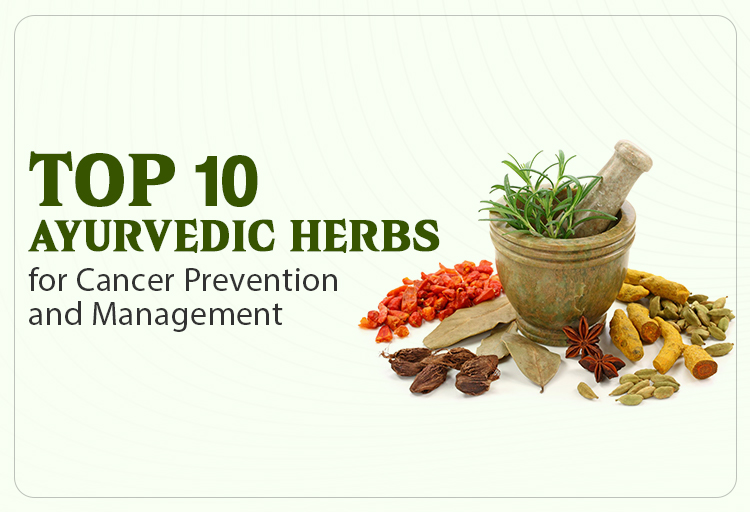 Top 10 Ayurvedic Herbs for Cancer Prevention